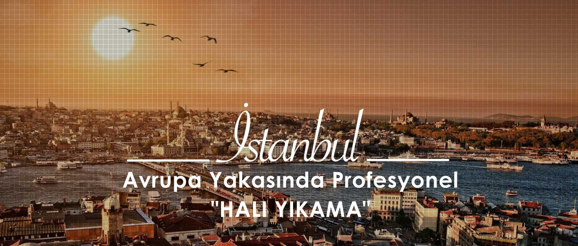 Halı Yıkama