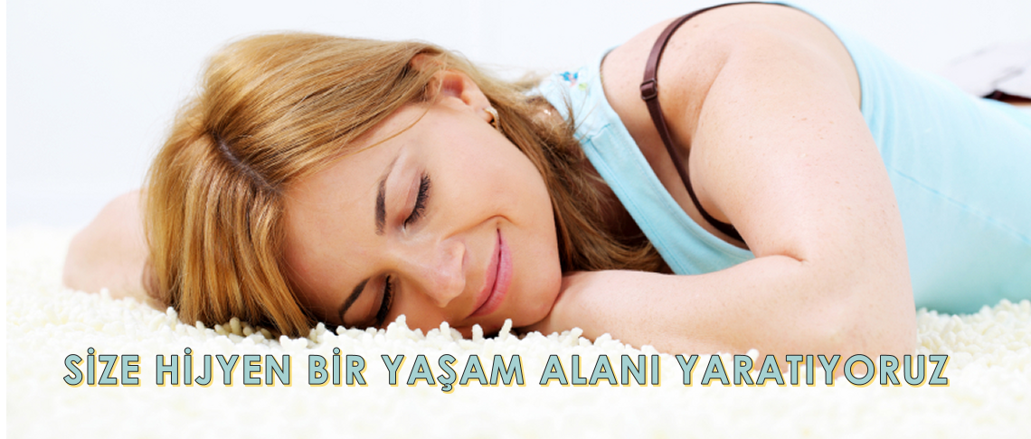 Halı Yıkama