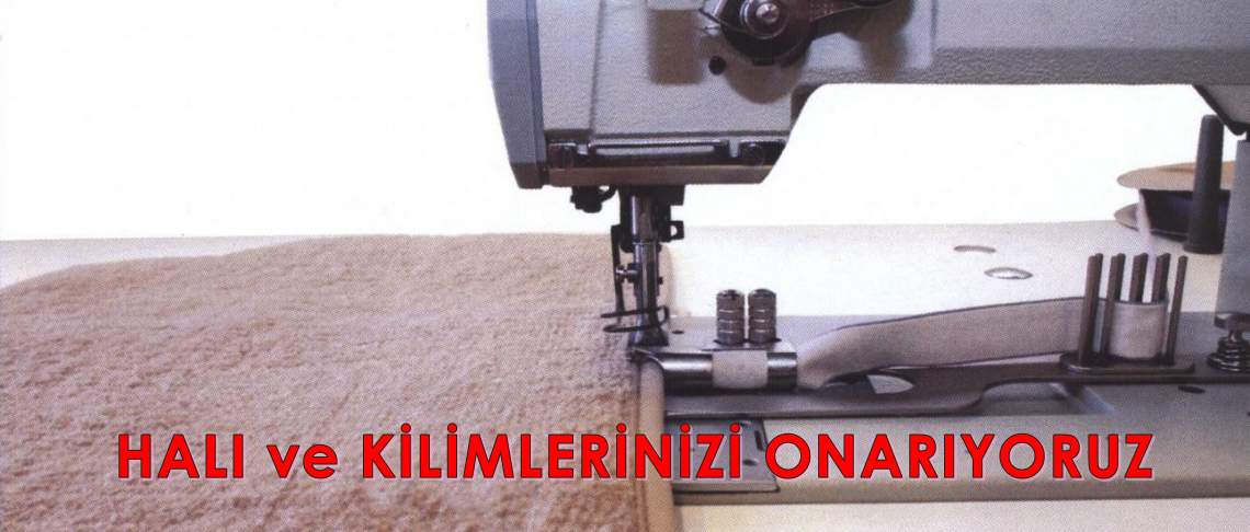 Halı Yıkama